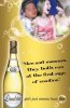 13325_lambrini_xmas_6sh-0a copy.jpg