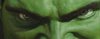 hulk04_hulk_closeup.jpg